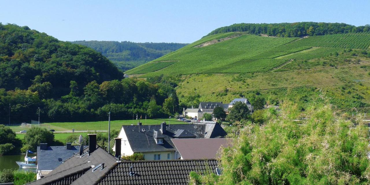 Gaestehaus Schwaab Zeltingen-Rachtig Exterior foto